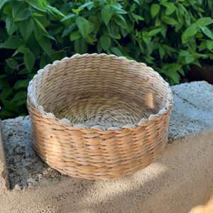 Banana fibre container